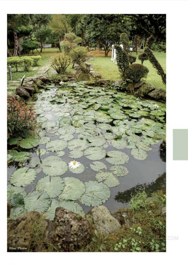 Blue-Photo-57---E-Book--Video-Cum-